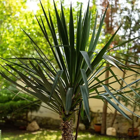 костадинов Guest house Varna