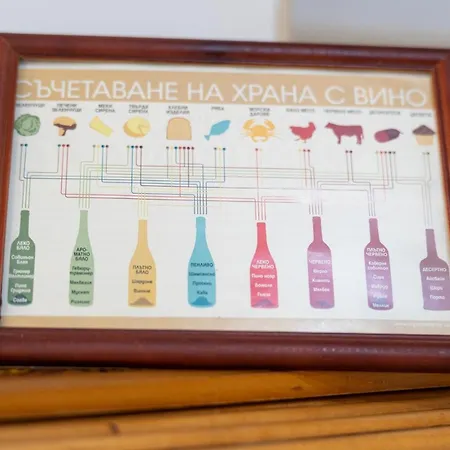 костадинов * Varna