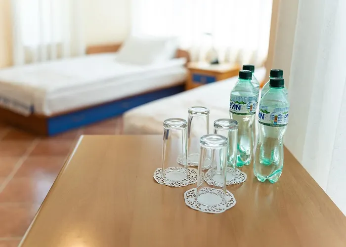 костадинов 3*