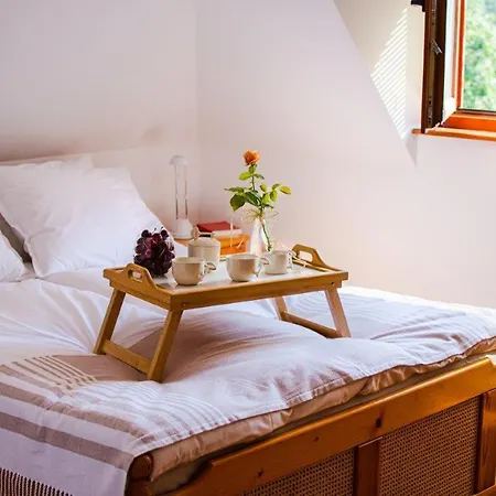 Maison d'hôtes костадинов