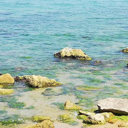 костадинов