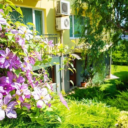 костадинов 3* וארנה