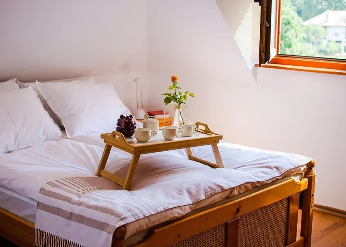 招待所 костадинов