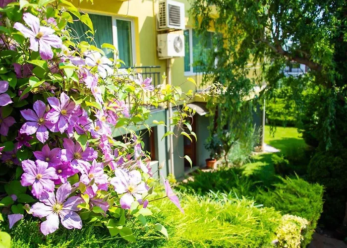 костадинов 3* فارنا