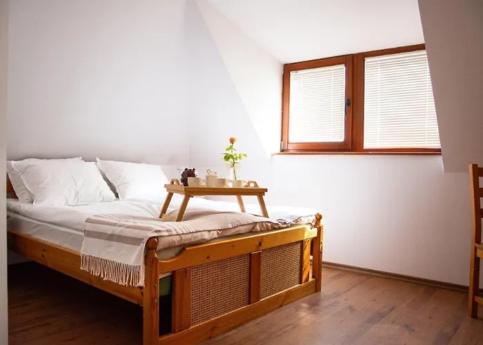 招待所 костадинов 3*