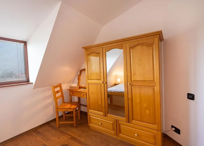 招待所 костадинов