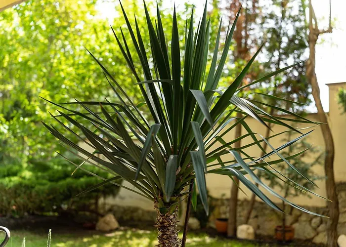 костадинов 招待所 瓦爾納