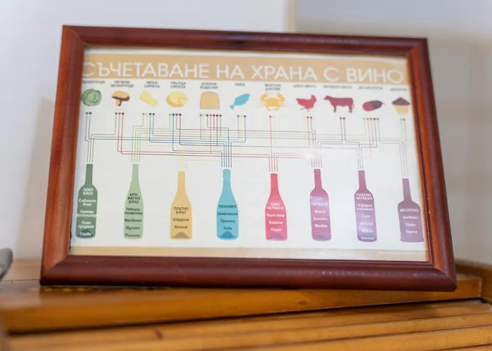 костадинов 3* 瓦爾納