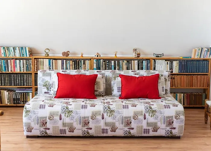 招待所 костадинов