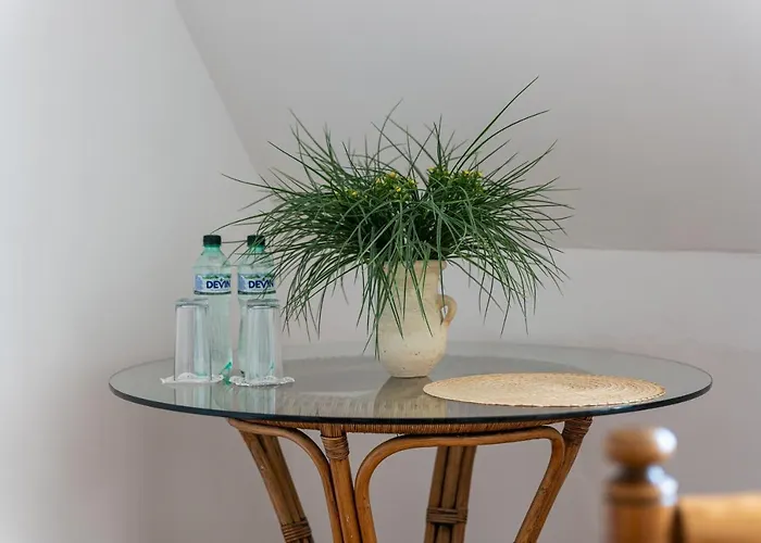 招待所 костадинов